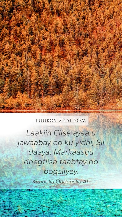 Luukos 22:51 SOM Mobile Phone Wallpaper - Laakiin Ciise ayaa u jawaabay oo ku yidhi, Sii - Mobile Bible Verse Wallpaper