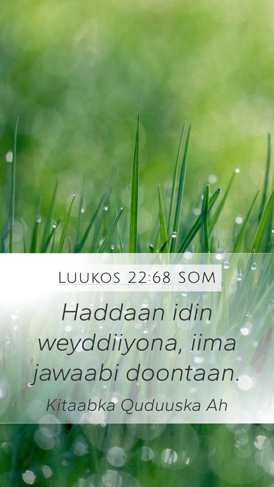 Luukos 22:68 SOM Bible Verse Image