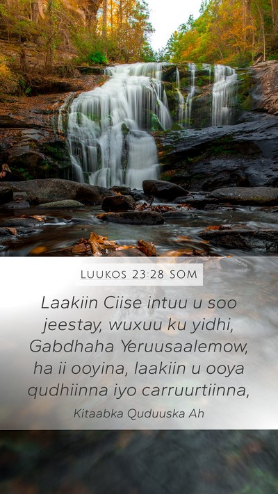 Luukos 23:28 SOM Bible Verse Image