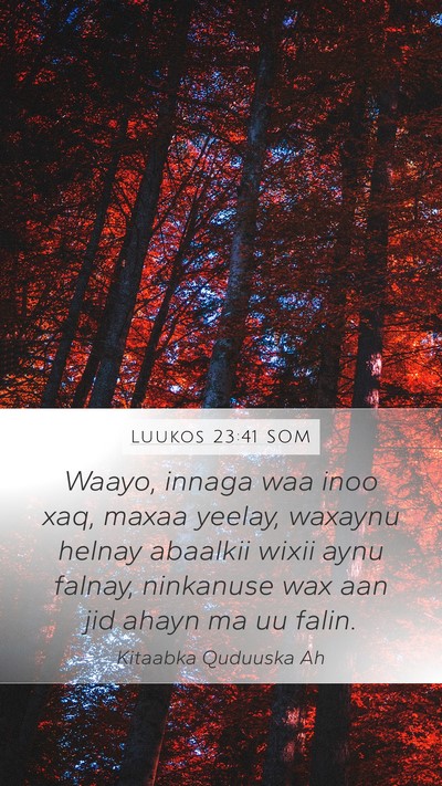 Luukos 23:41 SOM Bible Verse Image