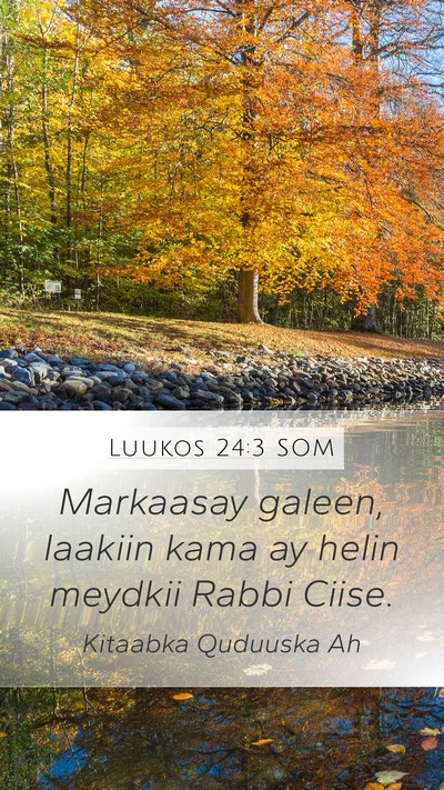 Luukos 24:3 SOM Bible Verse Image