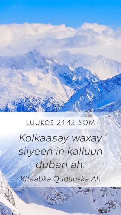 Luukos 24:42 SOM Mobile Phone Wallpaper - Kolkaasay waxay siiyeen in kalluun duban - Mobile Bible Verse Wallpaper