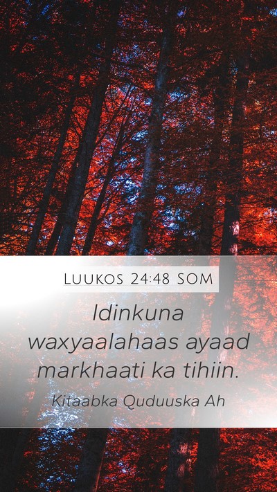 Luukos 24:48 SOM Bible Verse Image