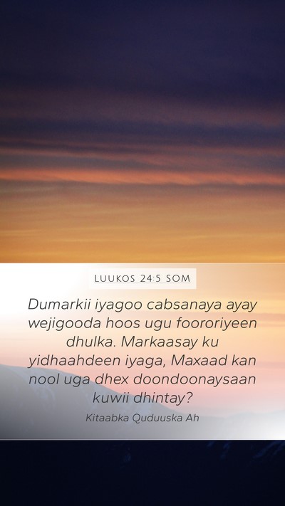 Luukos 24:5 SOM Bible Verse Image