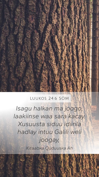 Luukos 24:6 SOM Bible Verse Image
