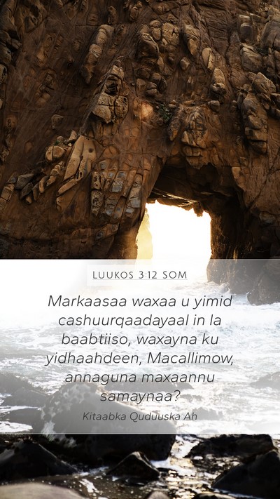 Luukos 3:12 SOM Mobile Phone Wallpaper - Markaasaa waxaa u yimid cashuurqaadayaal in la - Mobile Bible Verse Wallpaper