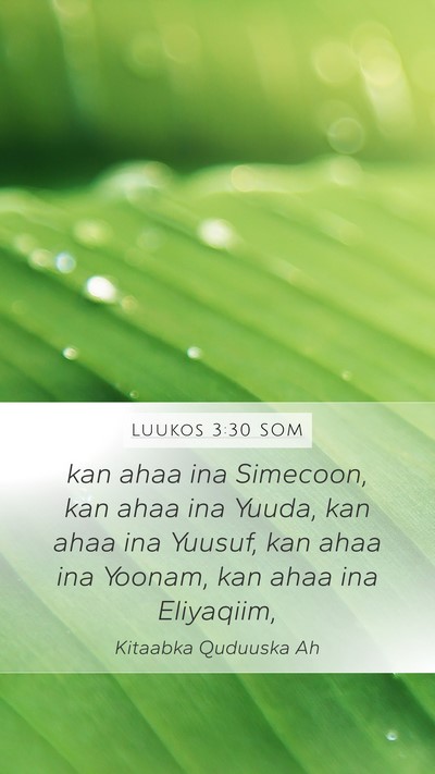 Luukos 3:30 SOM Mobile Phone Wallpaper - kan ahaa ina Simecoon, kan ahaa ina Yuuda, kan - Mobile Bible Verse Wallpaper