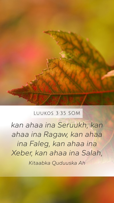 Luukos 3:35 SOM Bible Verse Image