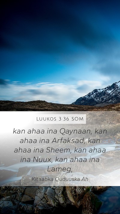 Luukos 3:36 SOM Bible Verse Image