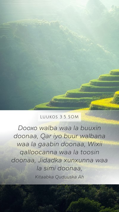 Luukos 3:5 SOM Bible Verse Image