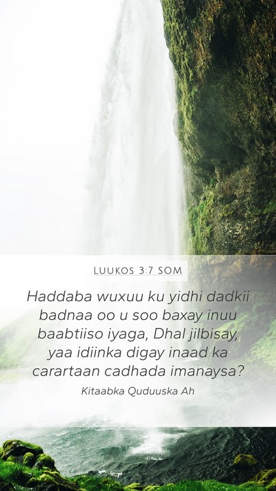 Luukos 3:7 SOM Bible Verse Image