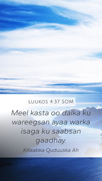 Luukos 4:37 SOM Bible Verse Image