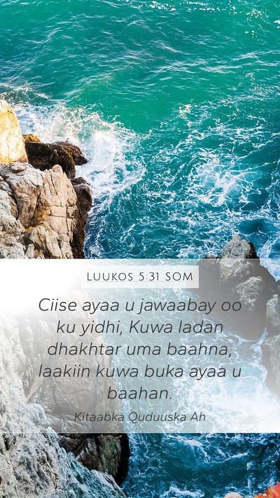 Luukos 5:31 SOM Bible Verse Image