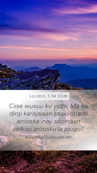 Luukos 5:34 SOM Mobile Phone Wallpaper - Ciise wuxuu ku yidhi, Ma ku dirqi karaysaan - Mobile Bible Verse Wallpaper