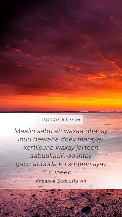 Luukos 6:1 SOM Bible Verse Image