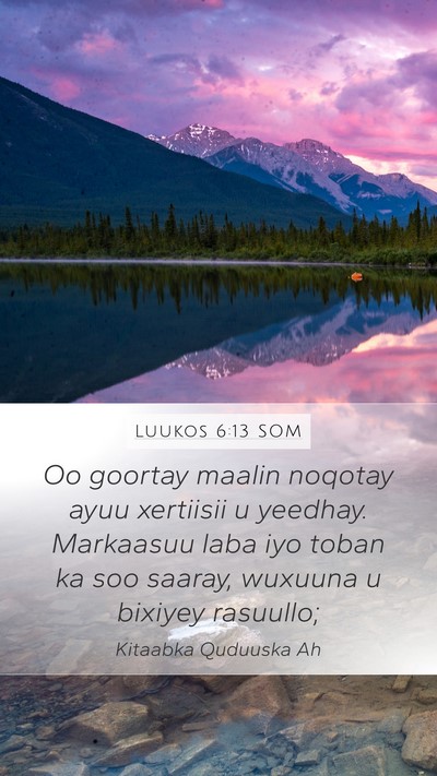 Luukos 6:13 SOM Bible Verse Image