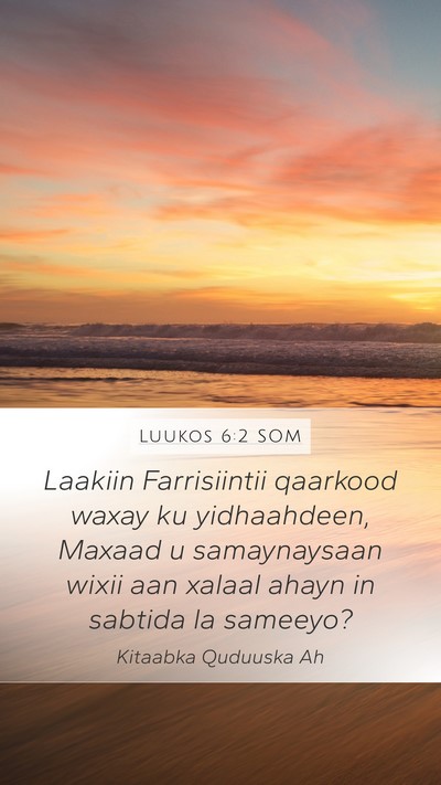Luukos 6:2 SOM Bible Verse Image
