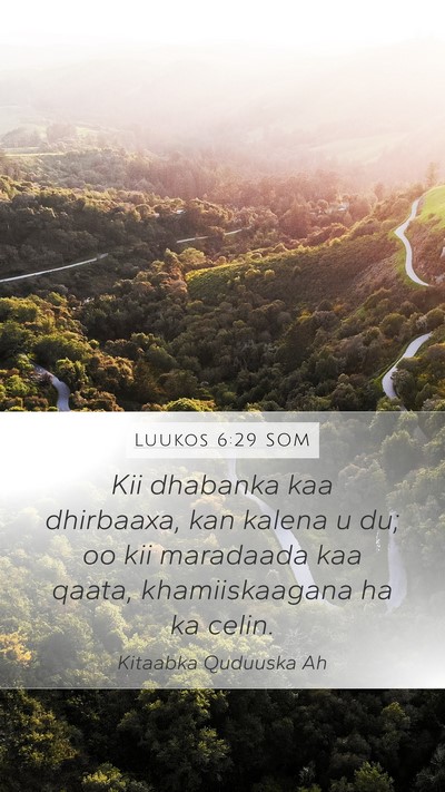 Luukos 6:29 SOM Bible Verse Image