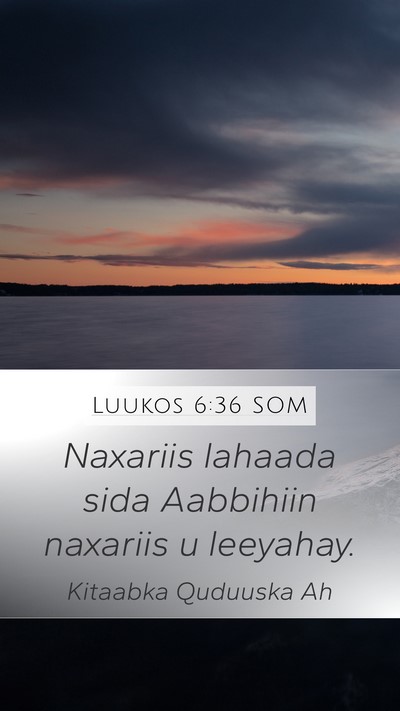 Luukos 6:36 SOM Bible Verse Image