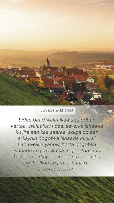 Luukos 6:42 SOM Bible Verse Image