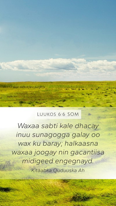 Luukos 6:6 SOM Bible Verse Image