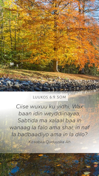 Luukos 6:9 SOM Bible Verse Image