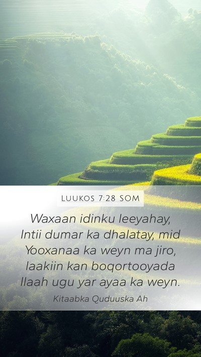 Luukos 7:28 SOM Bible Verse Image