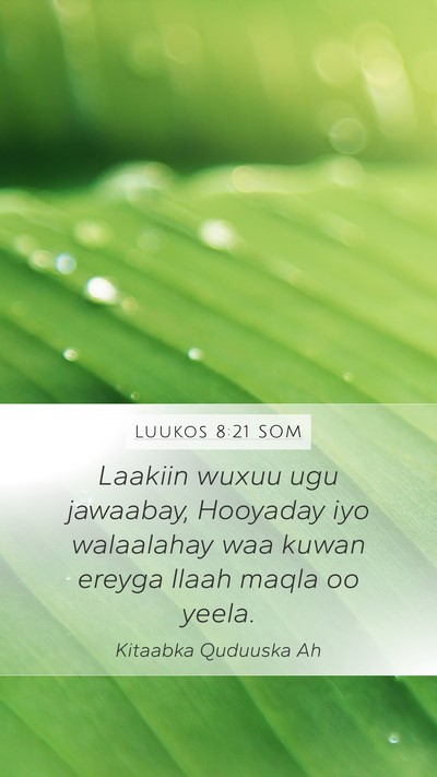 Luukos 8:21 SOM Bible Verse Image