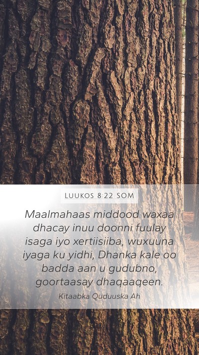Luukos 8:22 SOM Mobile Phone Wallpaper - Maalmahaas middood waxaa dhacay inuu doonni - Mobile Bible Verse Wallpaper