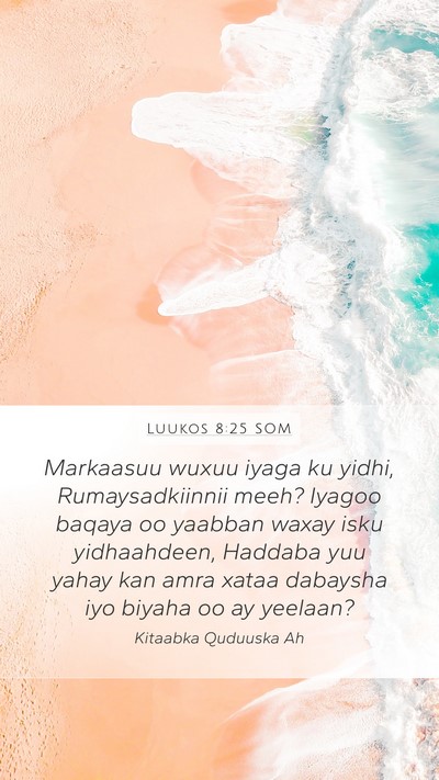 Luukos 8:25 SOM Bible Verse Image
