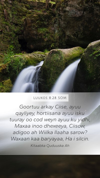 Luukos 8:28 SOM Bible Verse Image