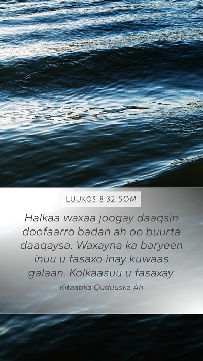 Luukos 8:32 SOM Mobile Phone Wallpaper - Halkaa waxaa joogay daaqsin doofaarro badan ah oo - Mobile Bible Verse Wallpaper