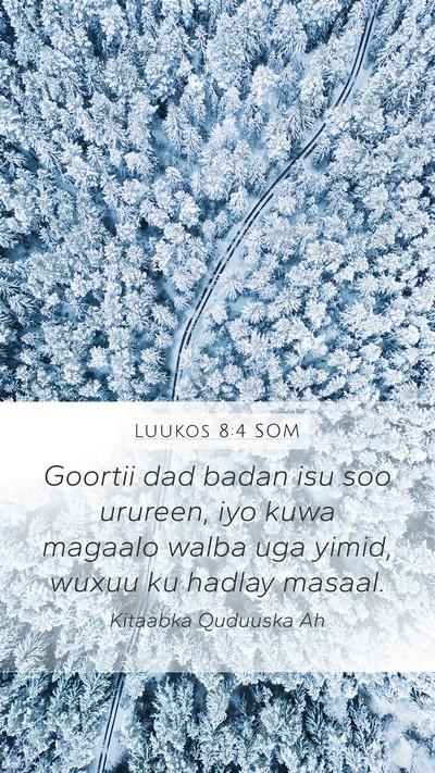 Luukos 8:4 SOM Bible Verse Image