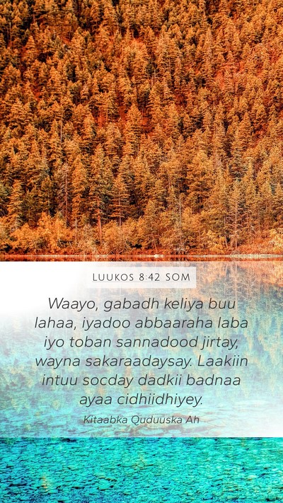 Luukos 8:42 SOM Bible Verse Image