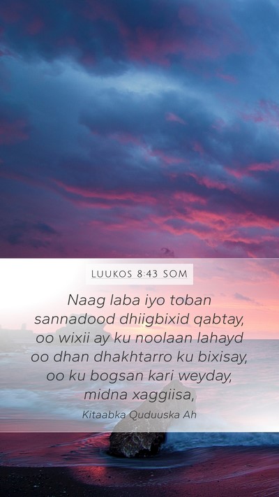 Luukos 8:43 SOM Bible Verse Image
