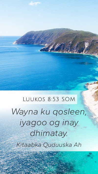 Luukos 8:53 SOM Bible Verse Image