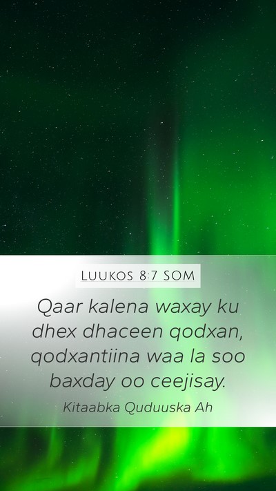 Luukos 8:7 SOM Mobile Phone Wallpaper - Qaar kalena waxay ku dhex dhaceen qodxan, - Mobile Bible Verse Wallpaper