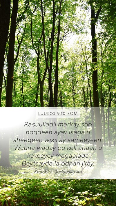 Luukos 9:10 SOM Mobile Phone Wallpaper - Rasuulladii markay soo noqdeen ayay isaga u - Mobile Bible Verse Wallpaper