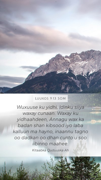 Luukos 9:13 SOM Bible Verse Image