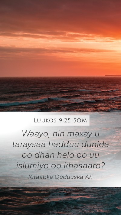 Luukos 9:25 SOM Bible Verse Image