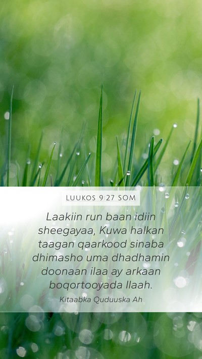 Luukos 9:27 SOM Mobile Phone Wallpaper - Laakiin run baan idiin sheegayaa, Kuwa halkan - Mobile Bible Verse Wallpaper