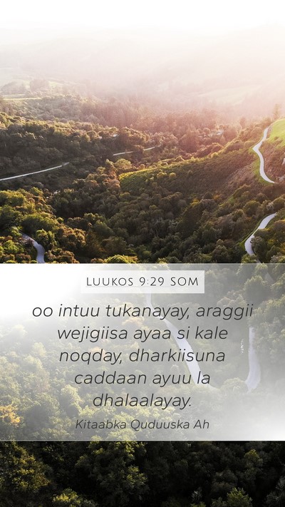 Luukos 9:29 SOM Bible Verse Image