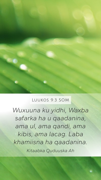 Luukos 9:3 SOM Bible Verse Image