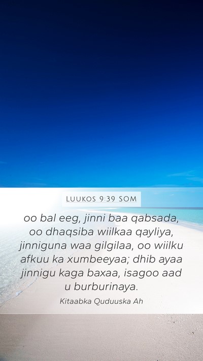 Luukos 9:39 SOM Bible Verse Image