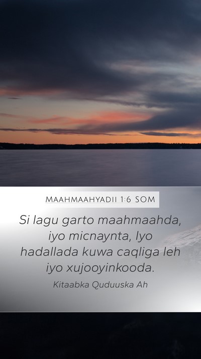 Maahmaahyadii 1:6 SOM Bible Verse Image