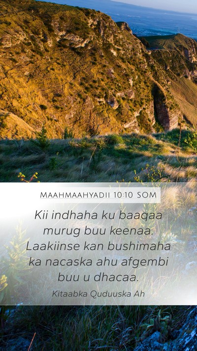 Maahmaahyadii 10:10 SOM Bible Verse Image