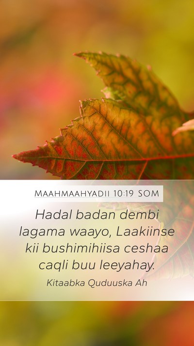 Maahmaahyadii 10:19 SOM Bible Verse Image
