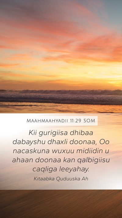 Maahmaahyadii 11:29 SOM Bible Verse Image