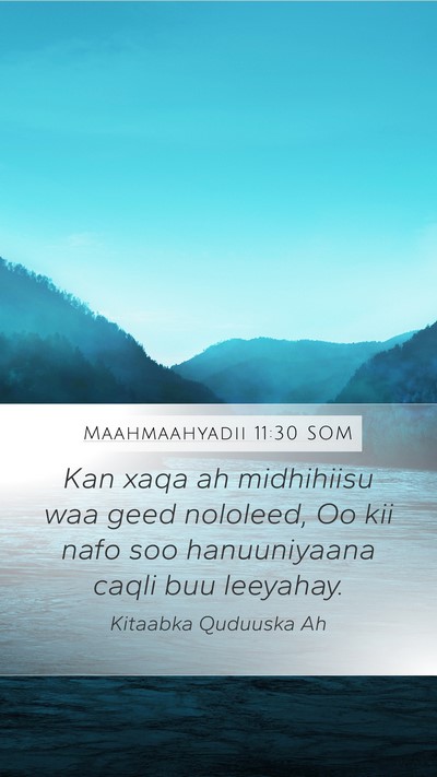 Maahmaahyadii 11:30 SOM Bible Verse Image