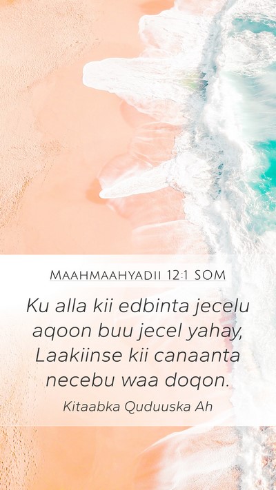 Maahmaahyadii 12:1 SOM Bible Verse Image